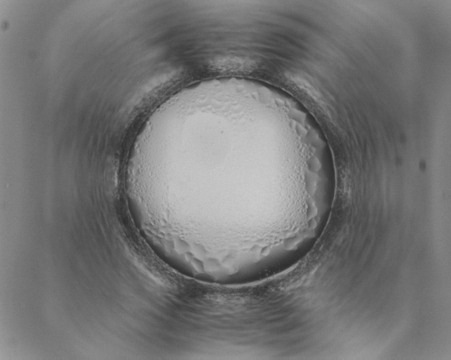 X0000088640733200706081611