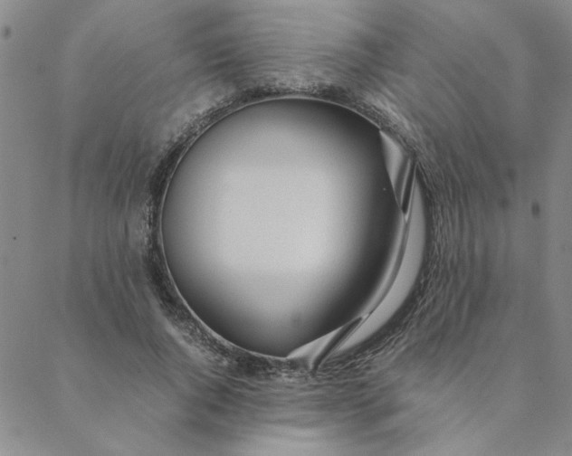 X0000088640736200706081611