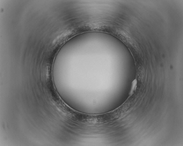 X0000088640740200706081611
