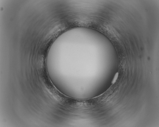 X0000088640744200706081611