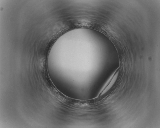 X0000088640747200706081611
