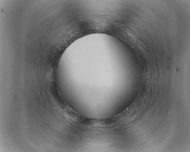 X0000088640750200706081612