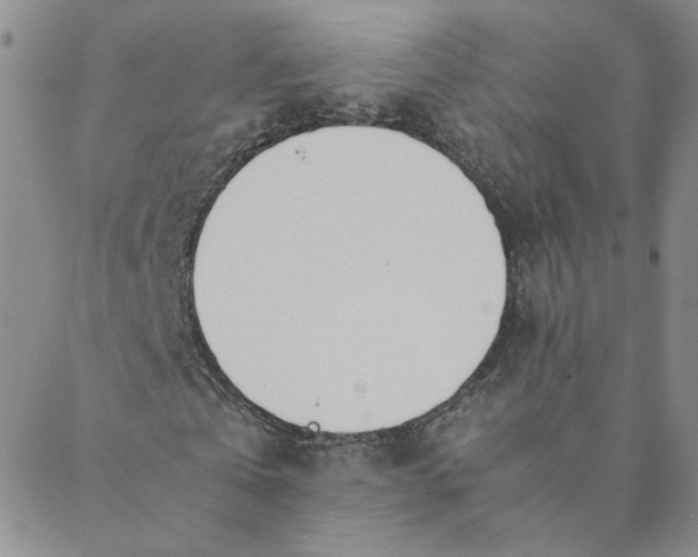X0000088640769200706081611