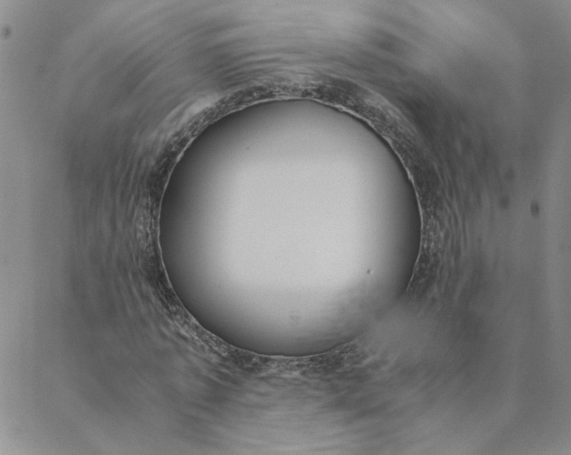 X0000088640773200706081611