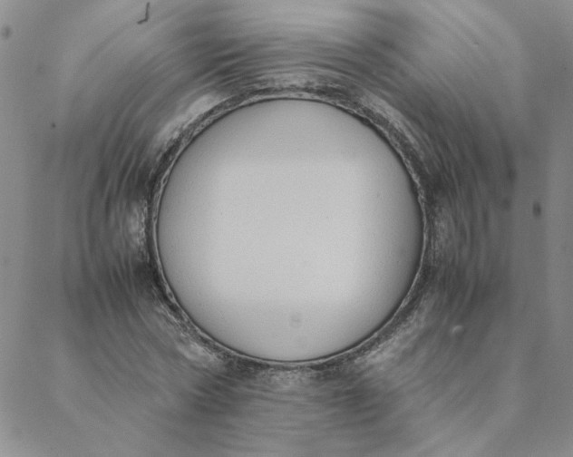 X0000088640778200706081611
