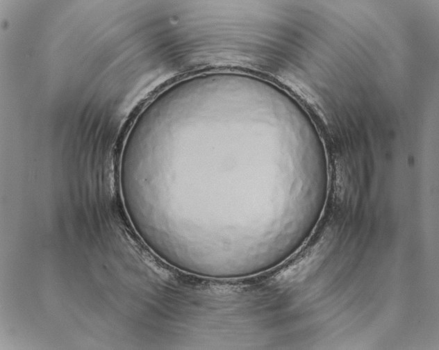 X0000088640782200706081611