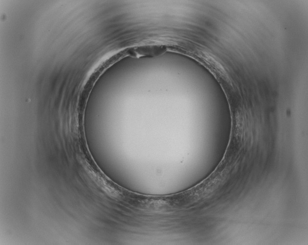 X0000088640784200706081611