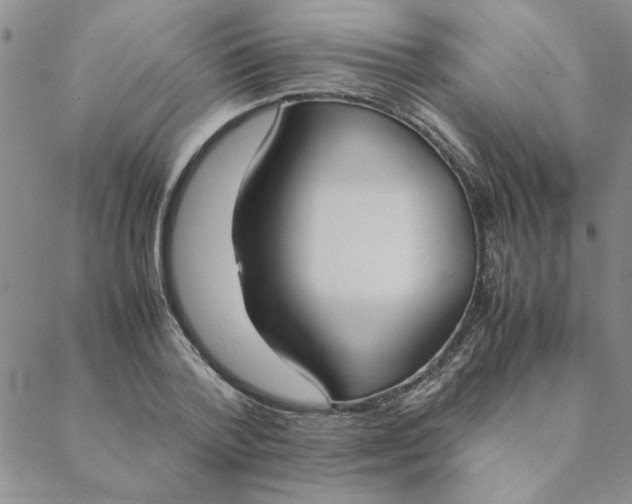 X0000088640788200706081611