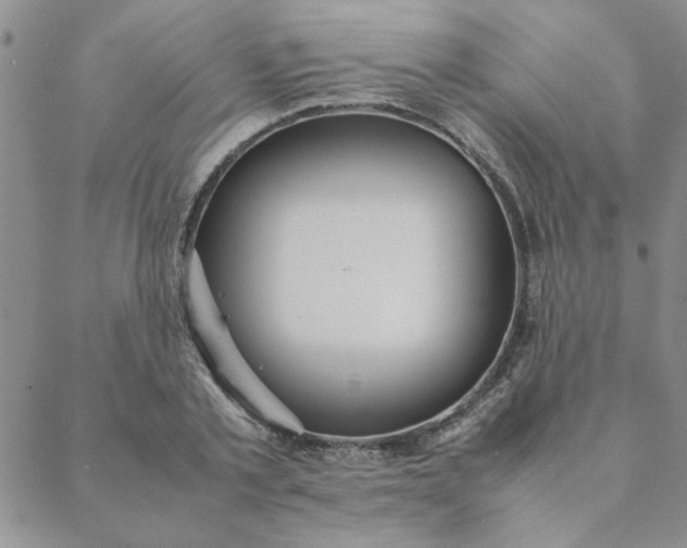 X0000088640789200706081611