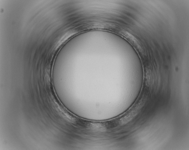 X0000088640794200706081611