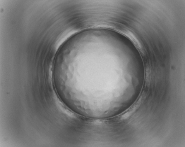 X0000088640814200706081610