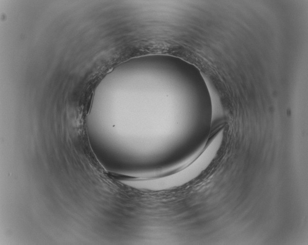 X0000088640818200706081609