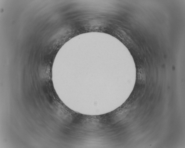 X0000088640820200706081610