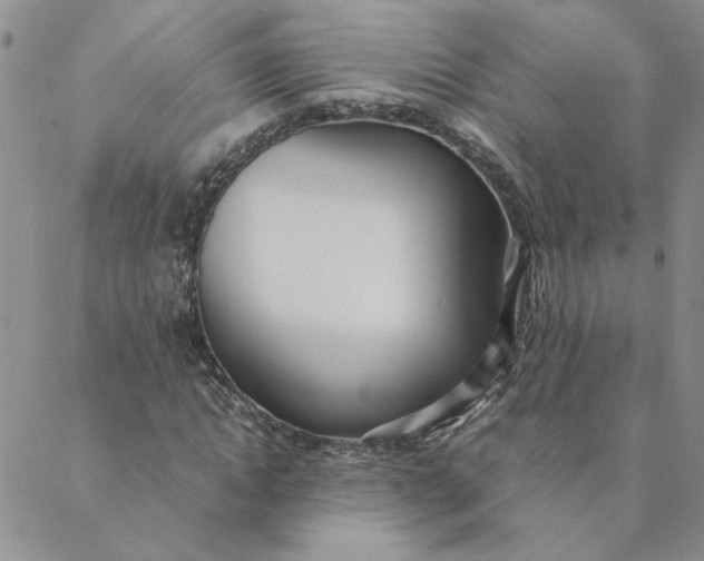 X0000088640822200706081610