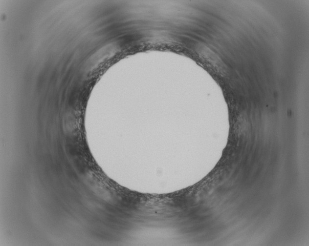X0000088640824200706081610