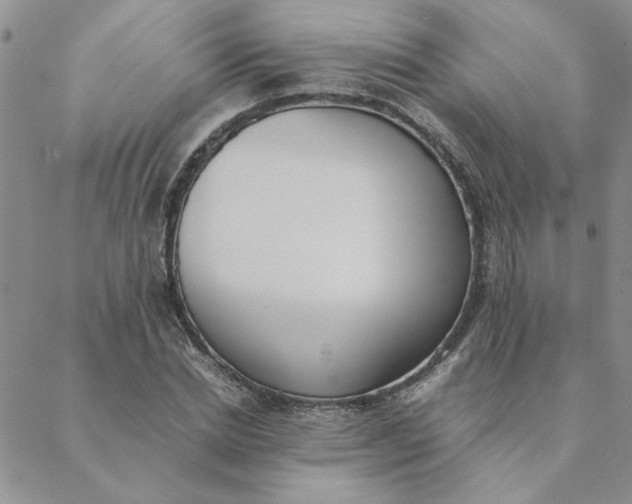 X0000088640830200706081610