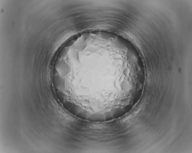 X0000088640835200706081610