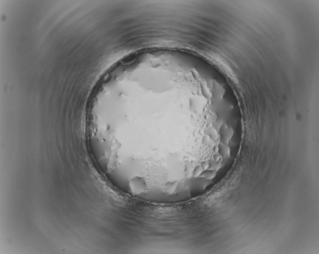 X0000088640839200706081610
