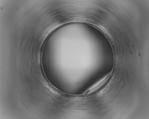 X0000088640846200706081610