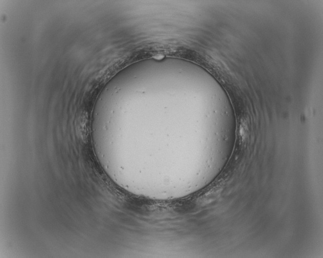 X0000088640867200706081609