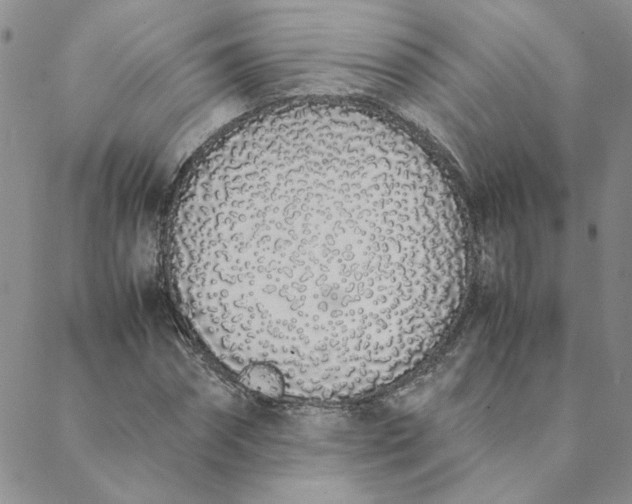 X0000088640874200706081609