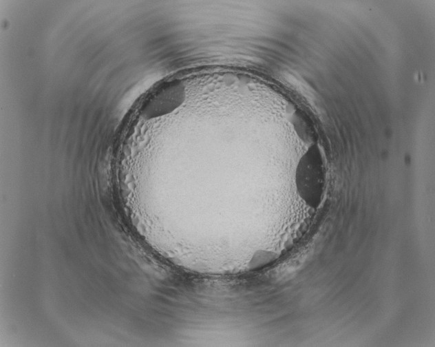 X0000088640875200706081609