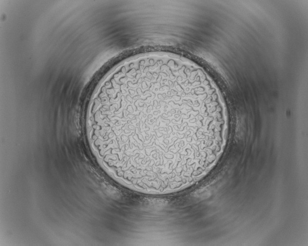 X0000088640878200706081609