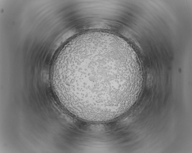 X0000088640882200706081609