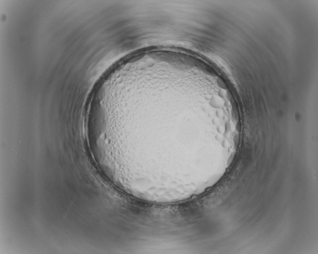 X0000088640887200706081609