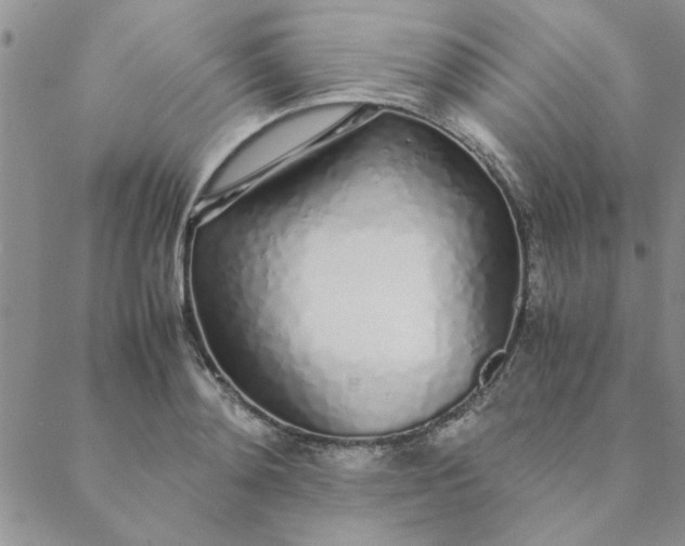 X0000088640892200706081609