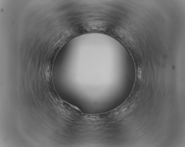 X0000088640915200706081608