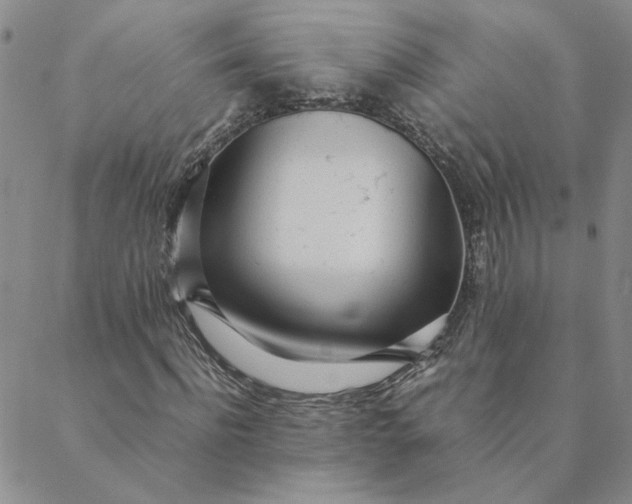 X0000088640916200706081608