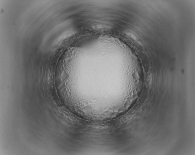X0000088640917200706081608