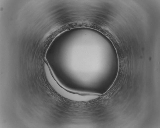 X0000088640919200706081608