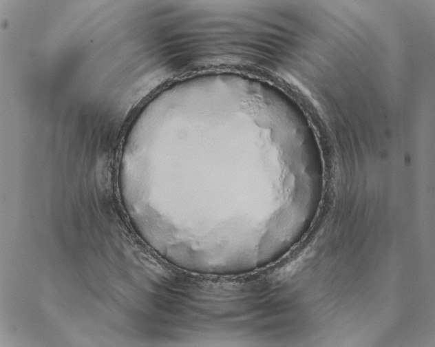 X0000088640921200706081608