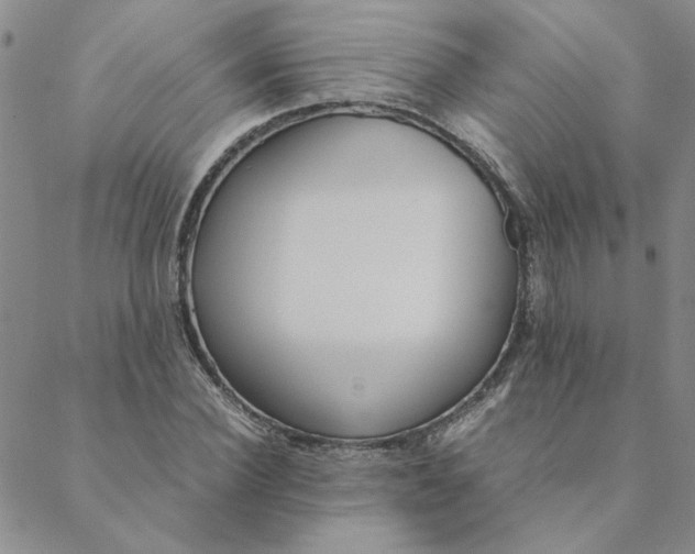 X0000088640924200706081608