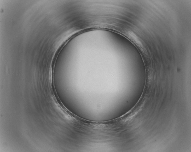 X0000088640940200706081608