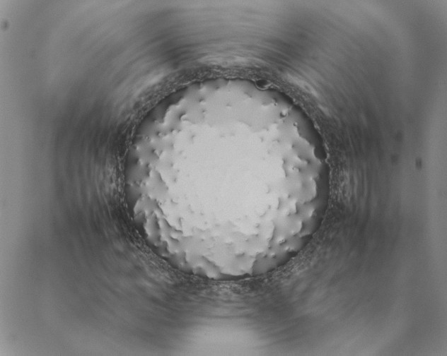 X0000088640966200706081608