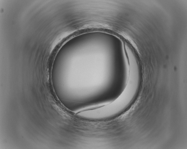 X0000088640973200706081608