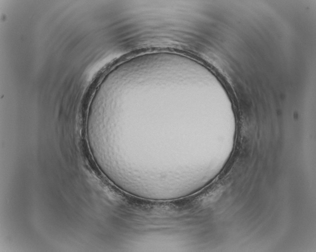 X0000088640979200706081608