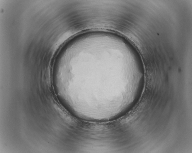 X0000088640982200706081608