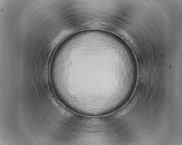 X0000088640986200706081607