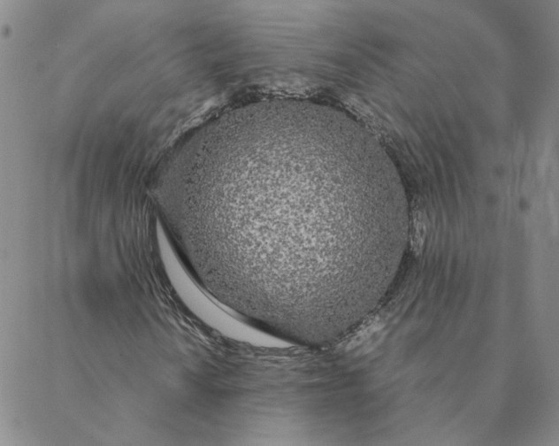 X0000088641010200706081606