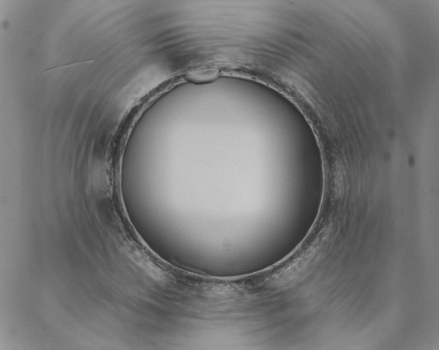 X0000088641018200706081606