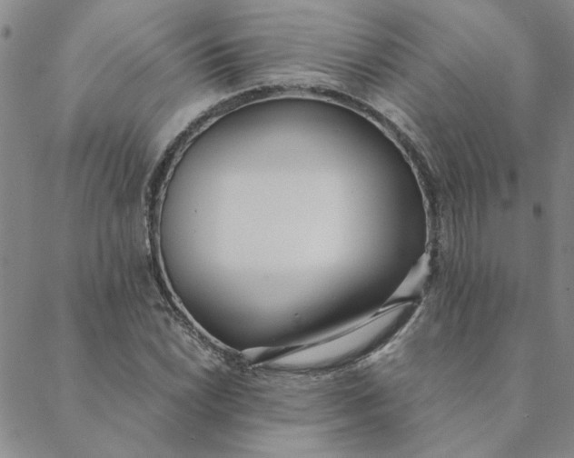 X0000088641022200706081607