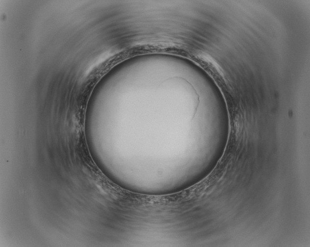 X0000088641064200706081606