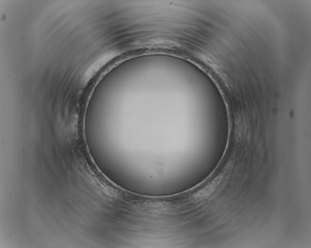 X0000088641066200706081606
