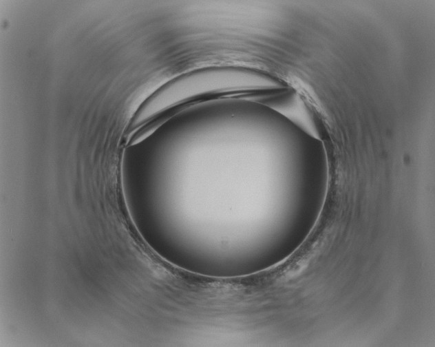 X0000088641081200706081606