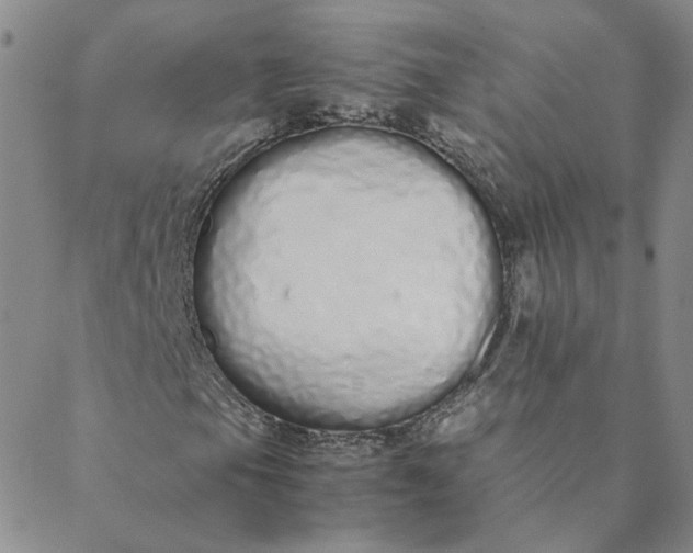 X0000088641105200706081605