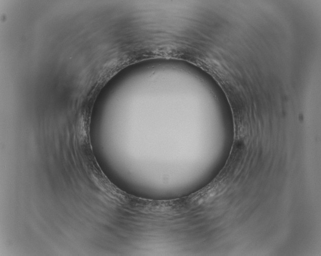 X0000088641106200706081605